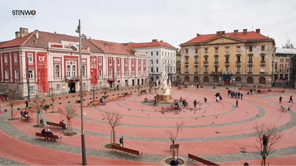 Preparatory Year of Romanian Language at UMFT