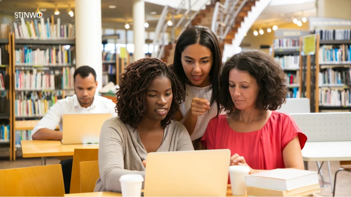 Best University for preparatory year in Romanian