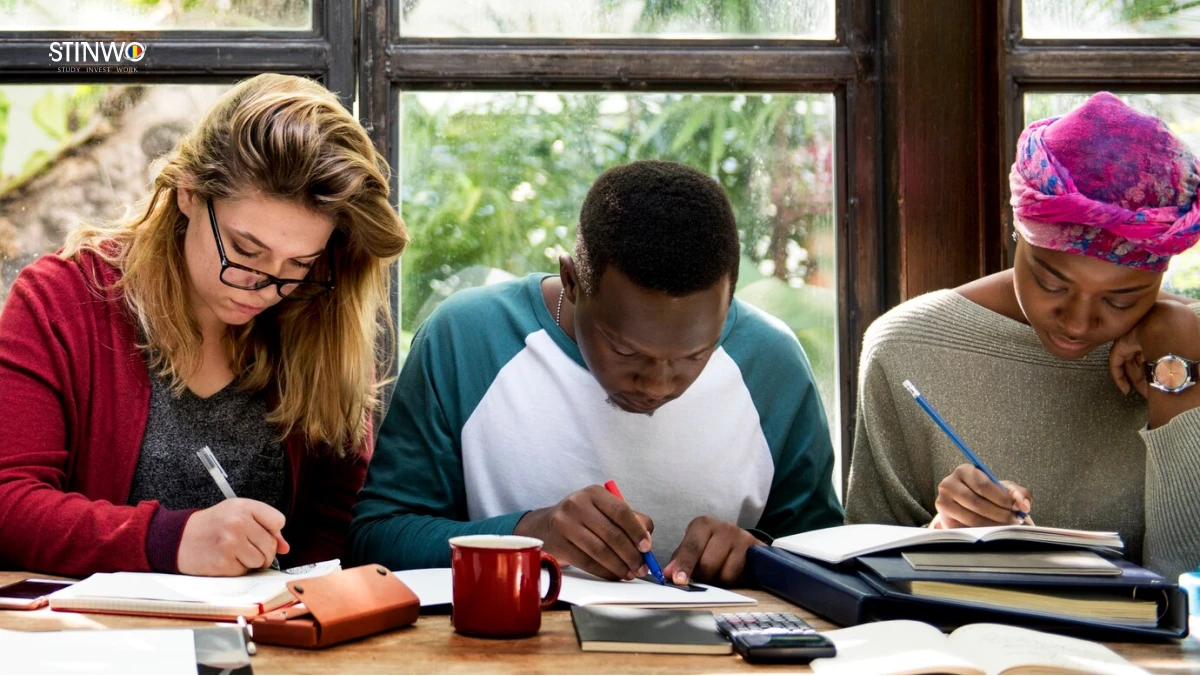 Best university for preparatory year in romanian language