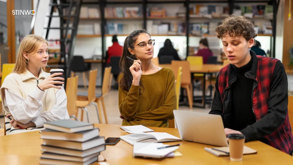University of Bucharest English programs requirements