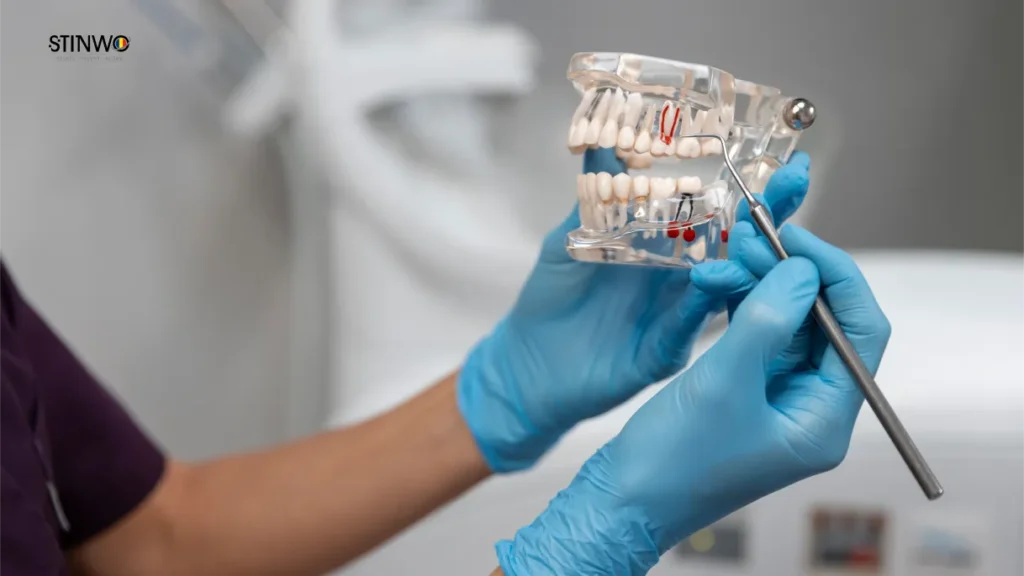 Dental Technique at UMFT