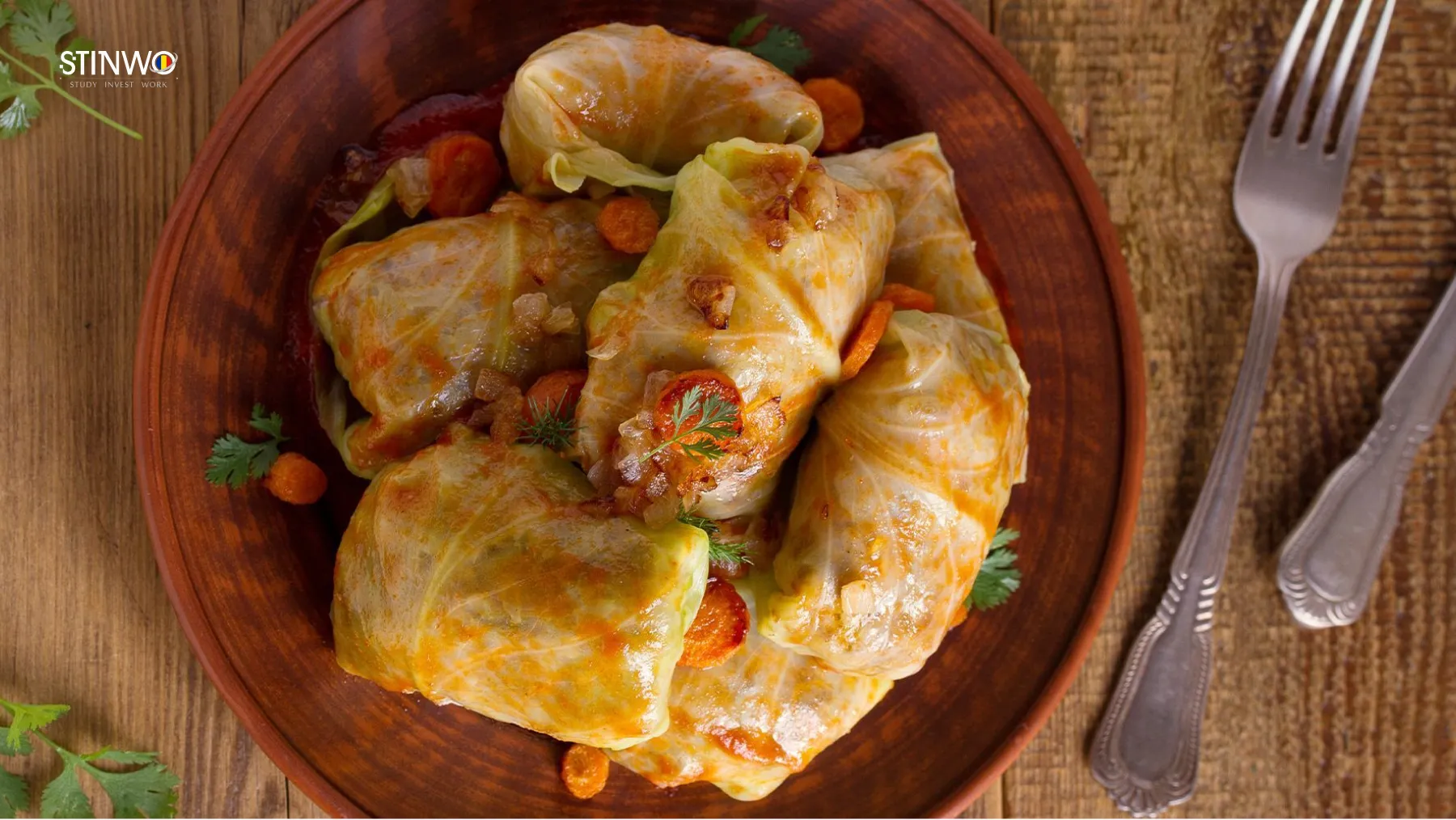 غذای رومانیایی سوچاوا