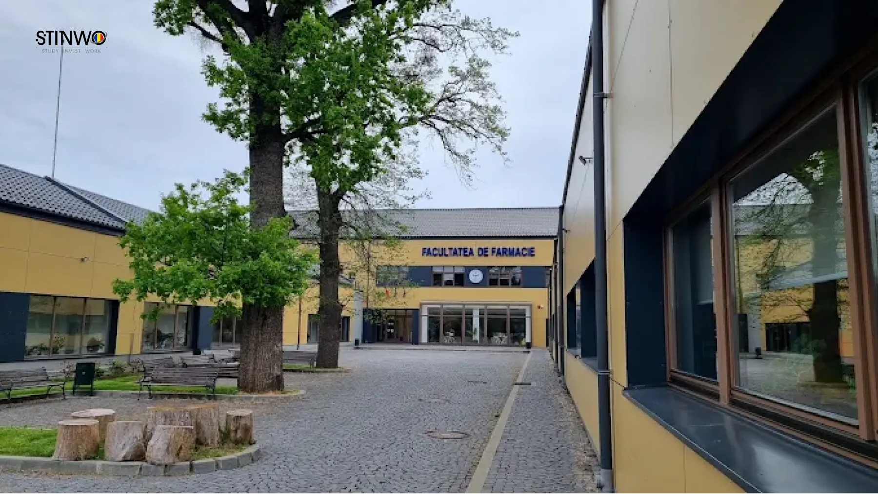 Dental Medicine at UMFST G.E. Palade Romania