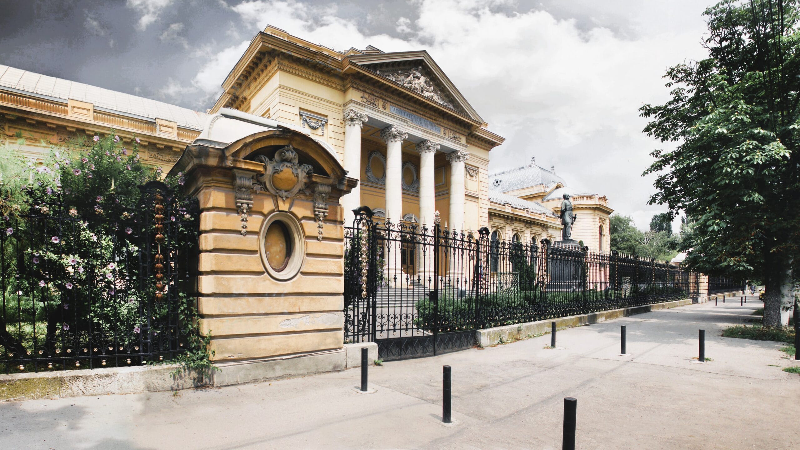 Top Universities in Romania for Medicine