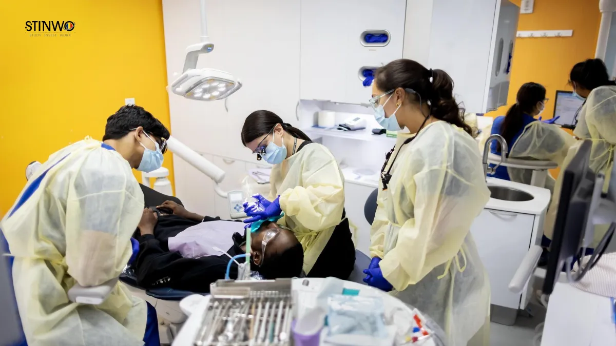 Top Dentistry Universities in Romania